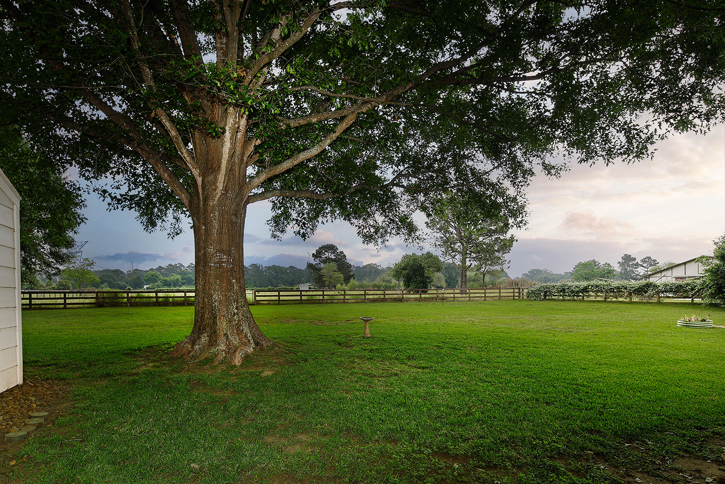 Open lawn and mature tree behind the guest house