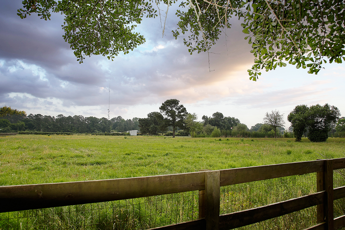 Open pasture view at twilight