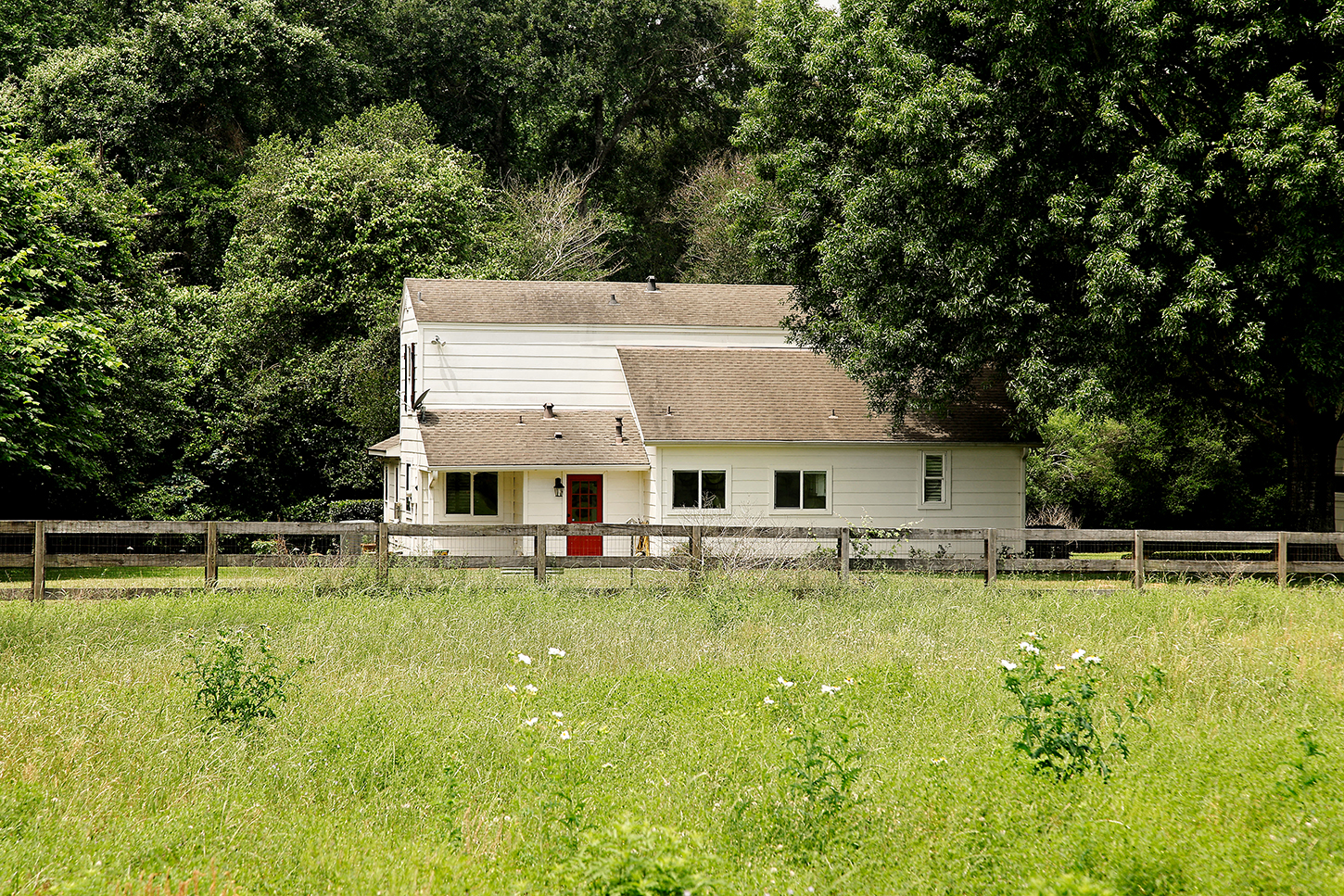 White cottage with red door beyond a pasture
