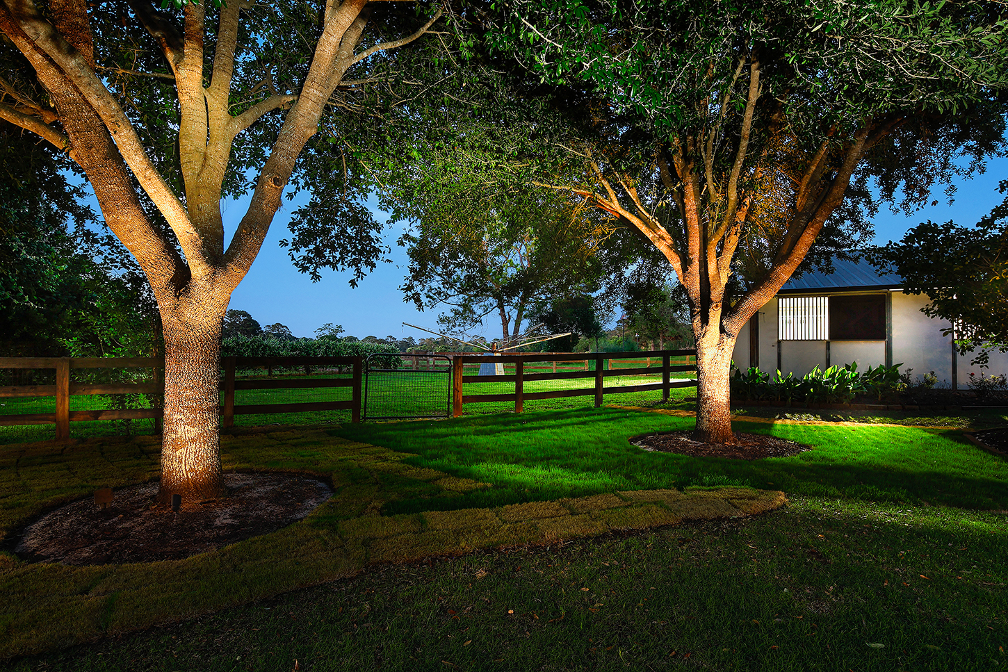 Uplit oak trees framing the stable at twilight