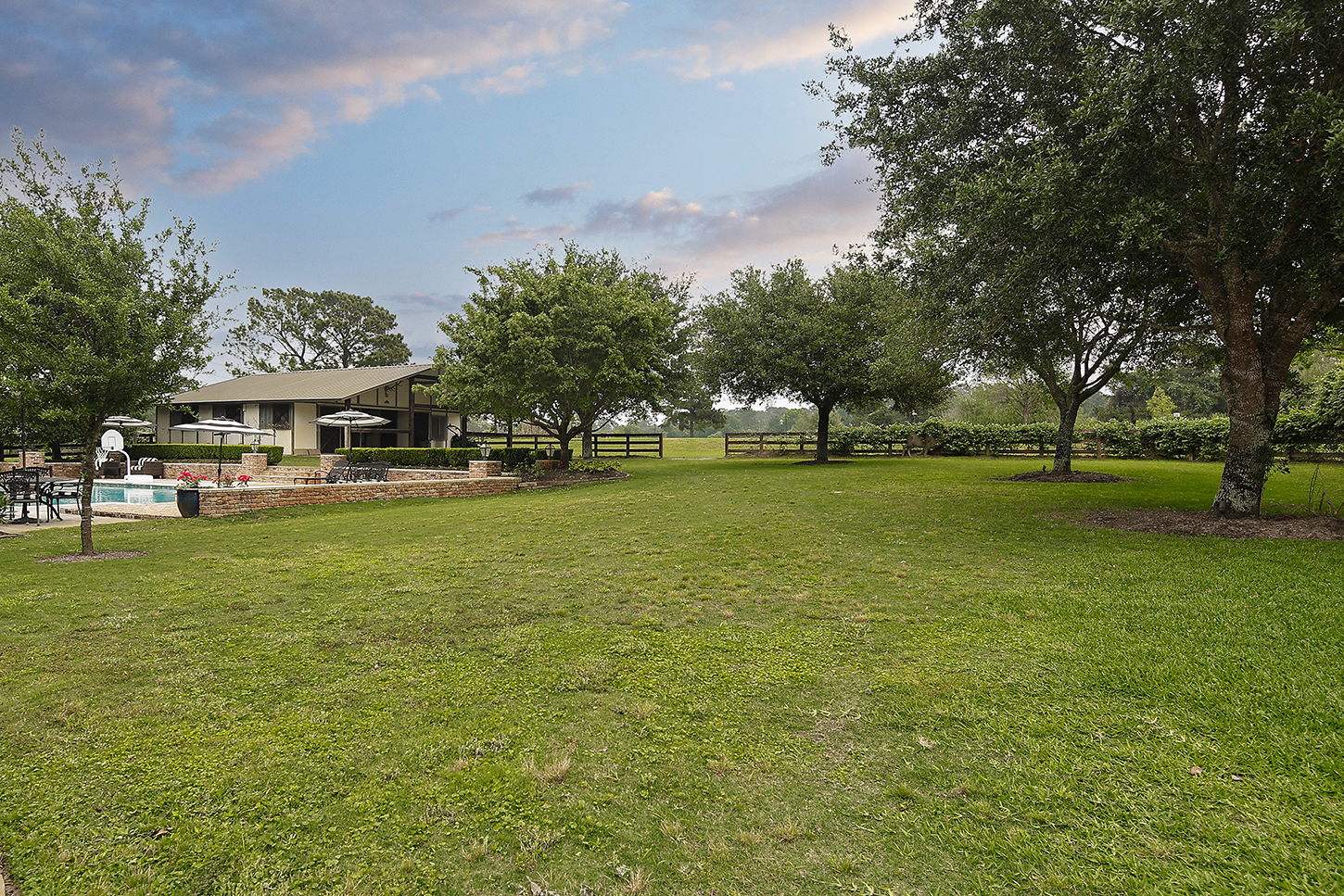 Open pasture framed by mature oak trees