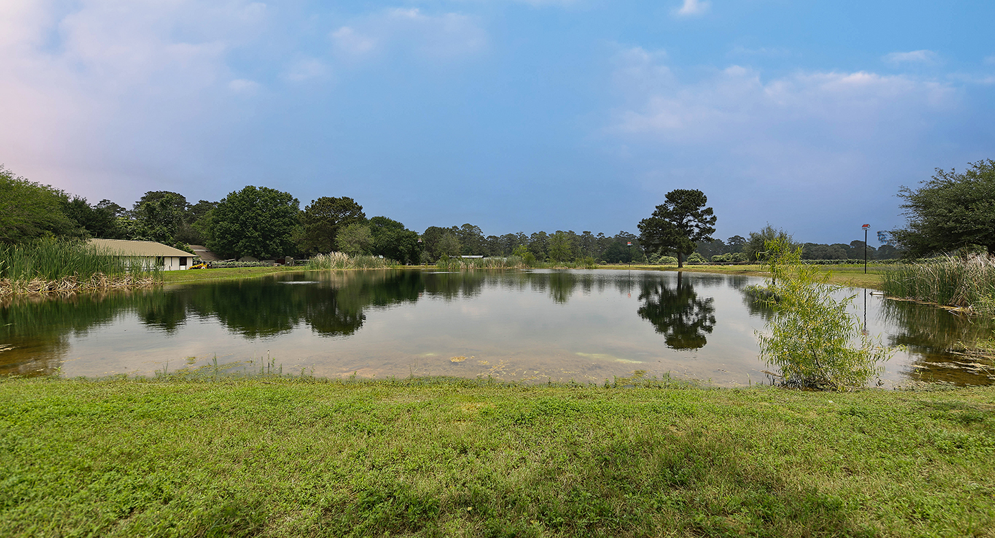 Stocked pond with reflections across the water